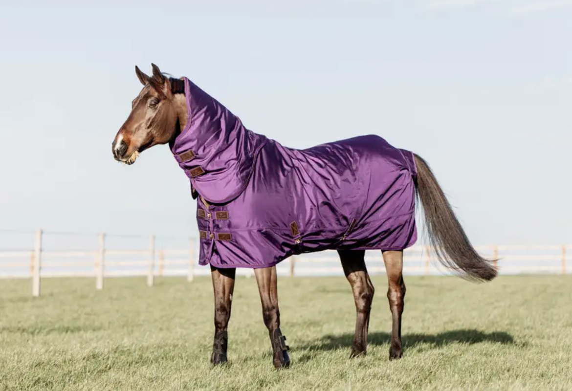 https://equitavisports.ca › products › couverture-dexterieur-all-weather-impermeable-pro-kentucky-horseware