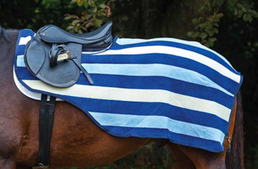 https://equitavisports.ca › products › couvre-reins-rambo-fleece-horseware
