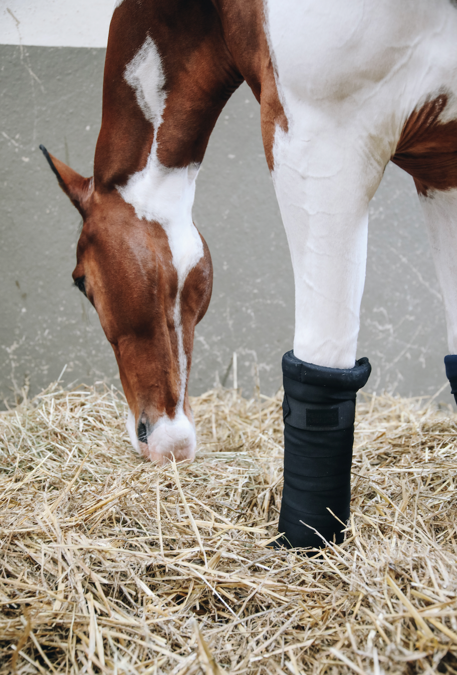 Bandes de repos Repellent | Kentucky Horsewear