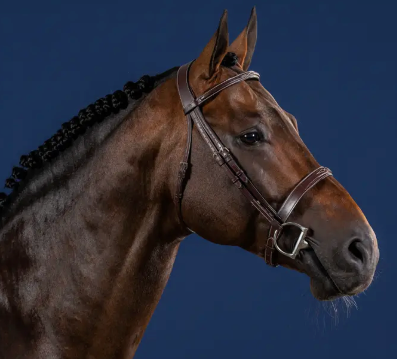 https://equitavisports.ca/products/bridon-hunter-us-dyon-cavesson-hunter-noseband-us-collection