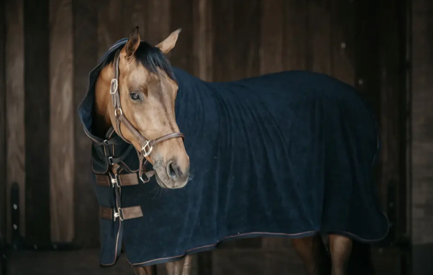 https://equitavisports.ca › products › couverture-eponge-kentucky-horseware