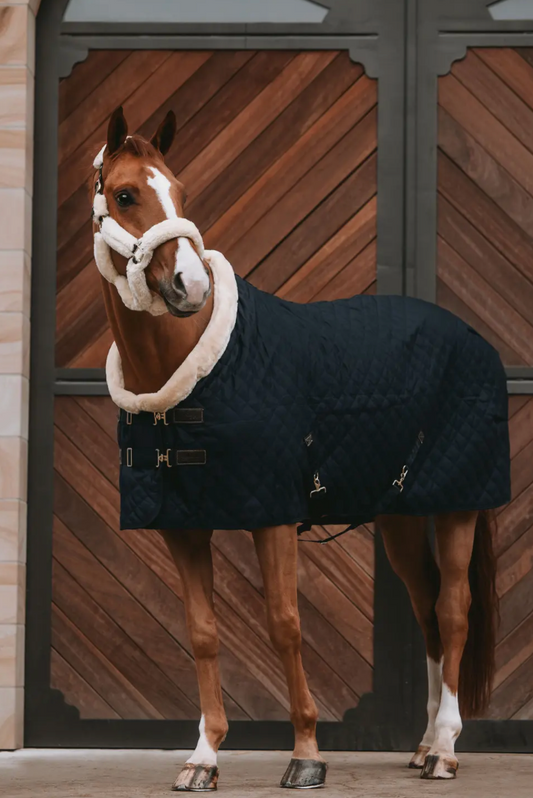 https://equitavisports.ca › products › couverture-de-presentation-kentucky-horseware