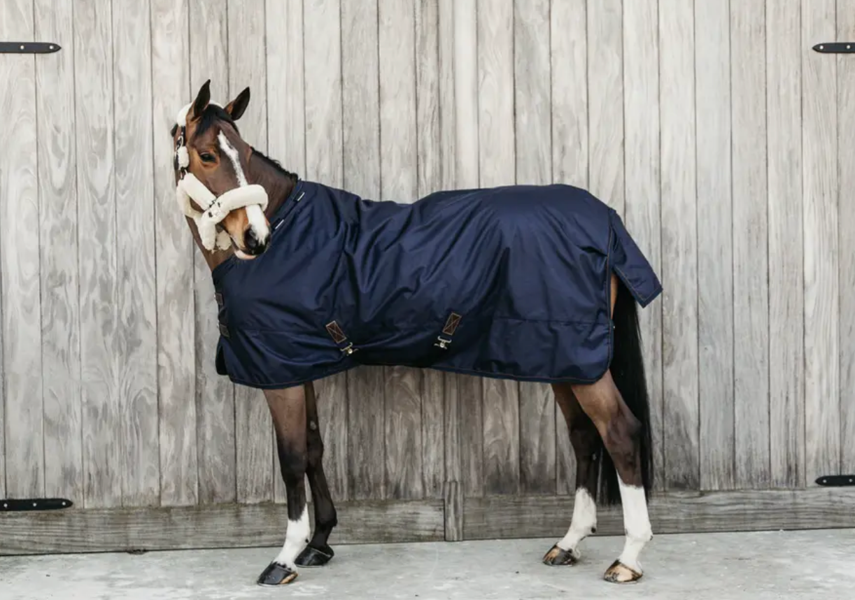 https://equitavisports.ca › products › couverture-dexterieur-all-weather-impermeable-pro-kentucky-horseware