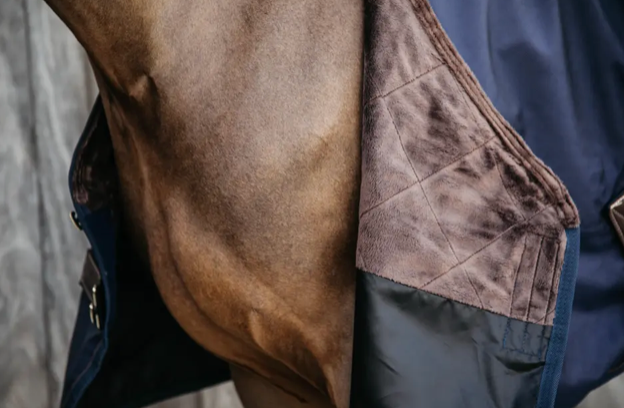 https://equitavisports.ca › products › couverture-dexterieur-all-weather-impermeable-pro-kentucky-horseware