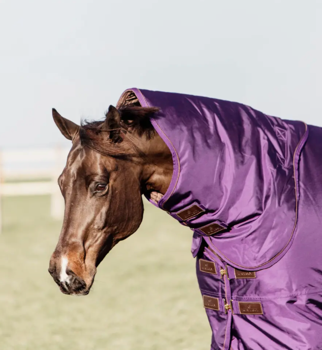 https://equitavisports.ca › products › couvre-cou-all-weather-impermeable-pro-kentucky-horseware