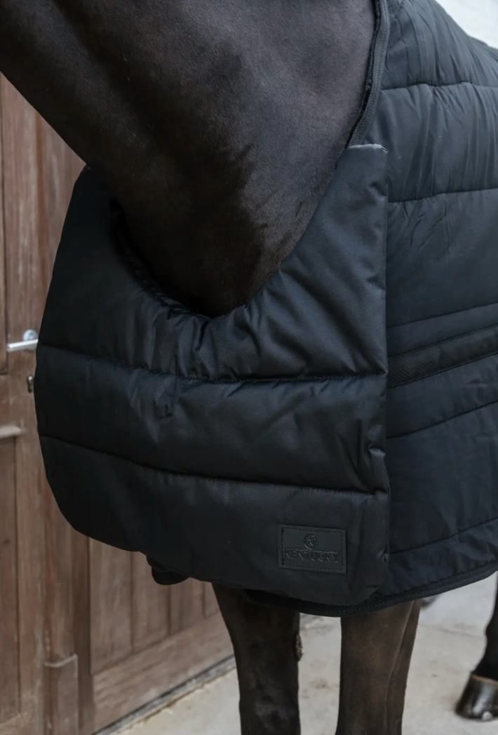 https://equitavisports.ca › products › horse-bib-impermeable-kentucky-horseware