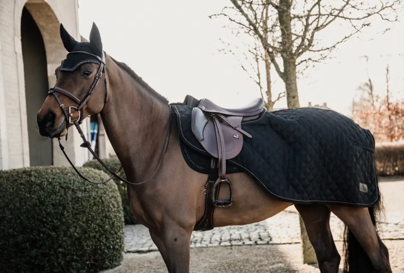 https://equitavisports.ca › products › couvre-reins-kentucky-horsewear