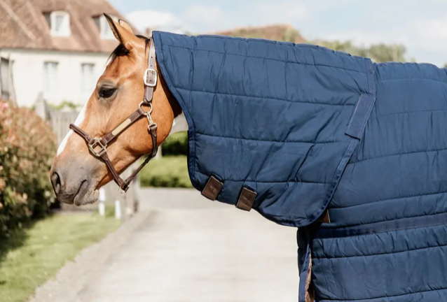 https://equitavisports.ca › products › sous-couverture-skin-friendly-avec-couvre-cou-kentucky-horsewear