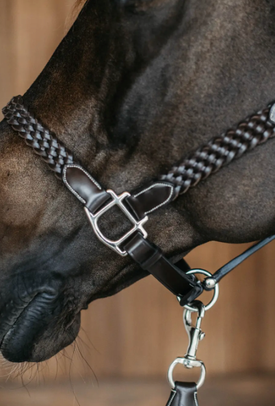 https://equitavisports.ca › products › licol-tresse-kentucky-horsewear