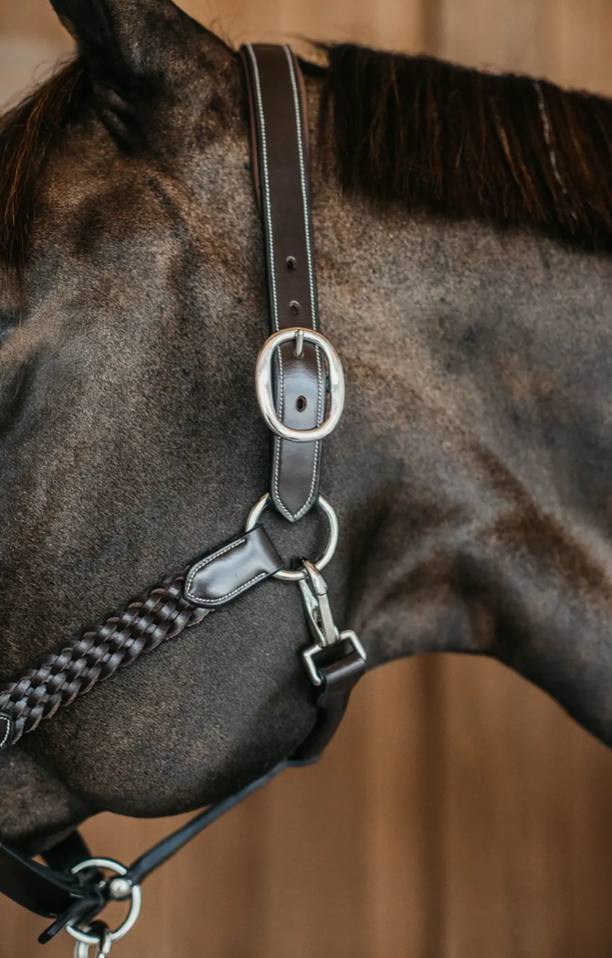 Braided Halter | Kentucky Horsewear