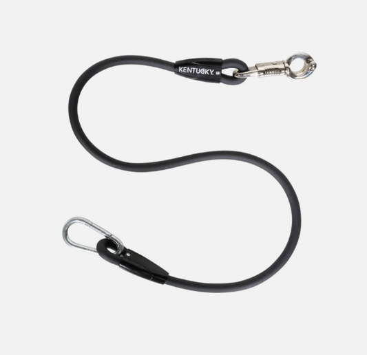 https://equitavisports.ca › products › horse-box-lead-cross-ties-silicone-kentucky-forswea