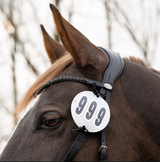 https://equitavisports.ca › products › porte-numero-qhp-prim-canpro