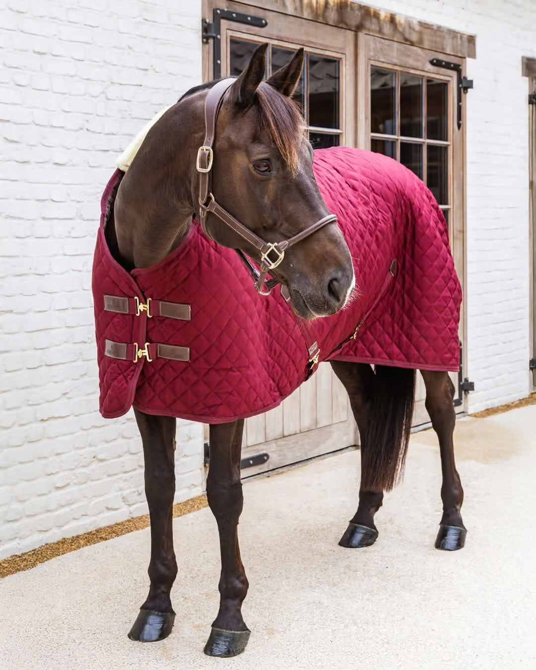 0g Stable Blanket | Kentucky Horsewear