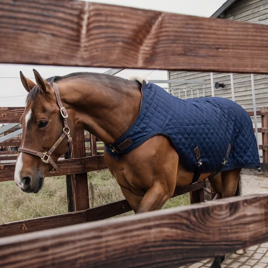 https://equitavisports.ca › products › couverture-de-marcheur-walker-kentucky-horsewear
