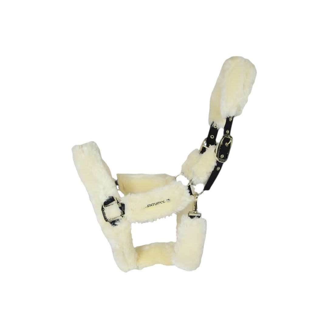 https://equitavisports.ca › products › licol-de-transport-mouton-kentucky-horsewear
