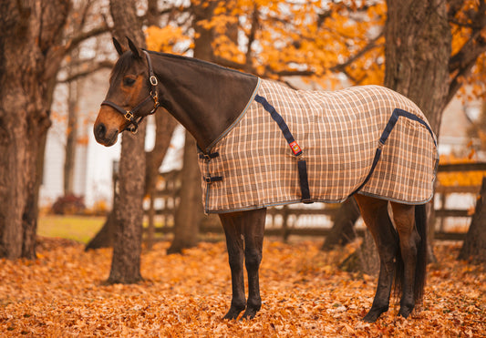 https://equitavisports.ca › products › couverture-5-a-baker®-stable-sheet-baker