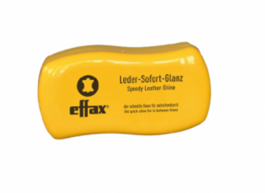 Effax Leather Speedy Shine | CanPro