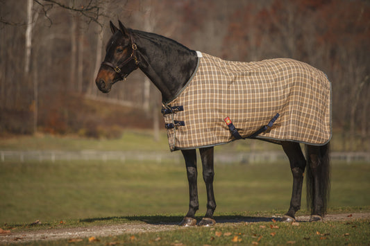 https://equitavisports.ca › products › couverture-5-a-d-ecurie-deluxe-baker
