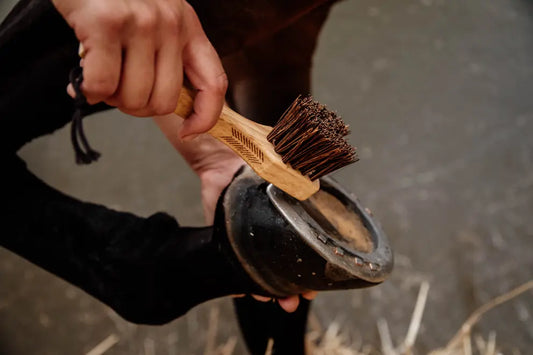 https://equitavisports.ca/products/cure-pied-avec-brosse-metallique-kentucky