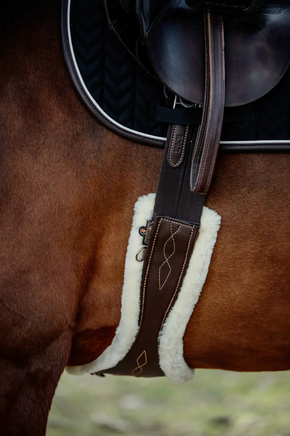 Sangle Anatomique mouton| Kentucky Horsewear