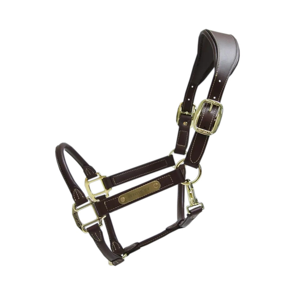 Anatomical Leather Halter | Kentucky Horsewear