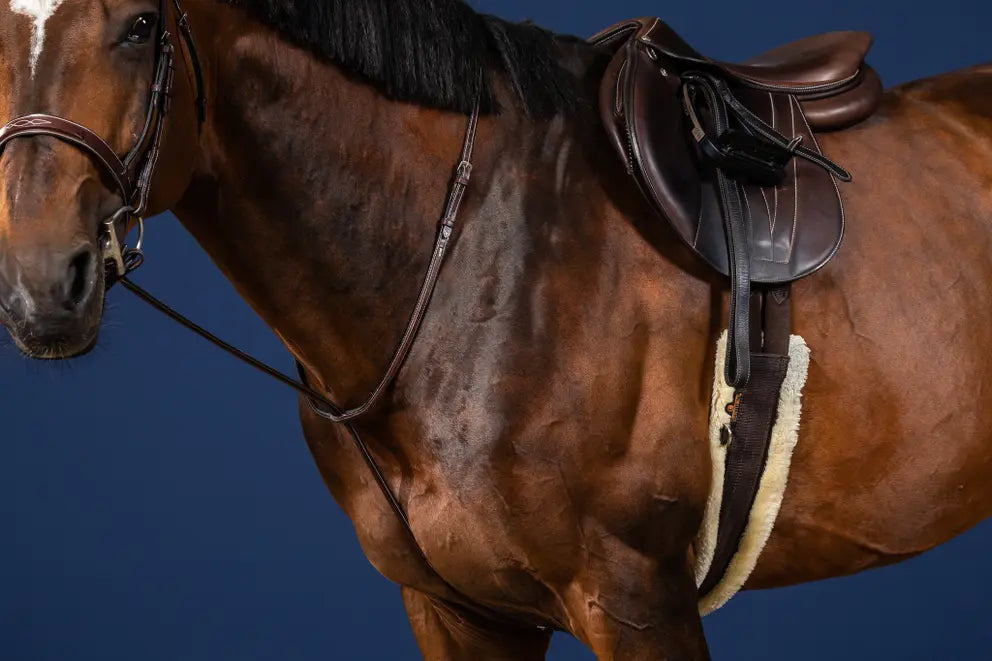 https://equitavisports.ca › products › martingale-fixe-dyon-us-collection