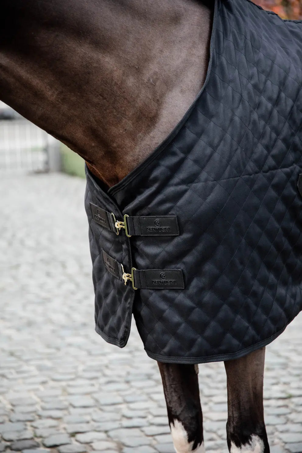 https://equitavisports.ca › products › couverture-d-ecurie-0-gramme-kentucky-horseware