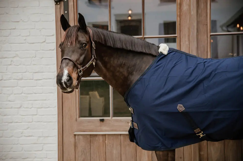 https://equitavisports.ca › products › couverture-d-ecurie-en-coton-kentucky-horsewear