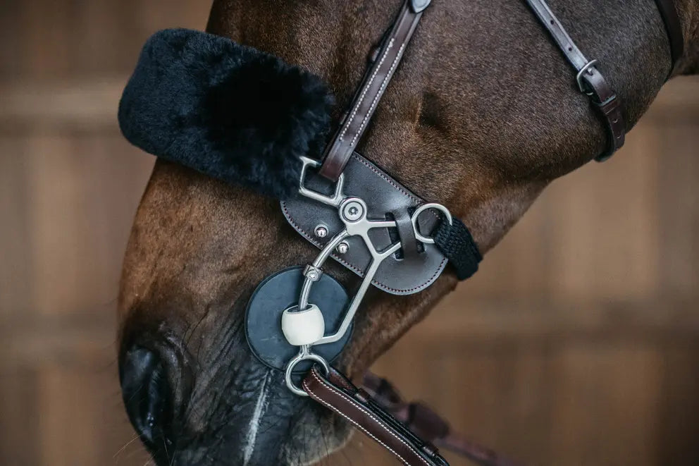 https://equitavisports.ca › products › protection-de-hackamore-kentucky-horsewear