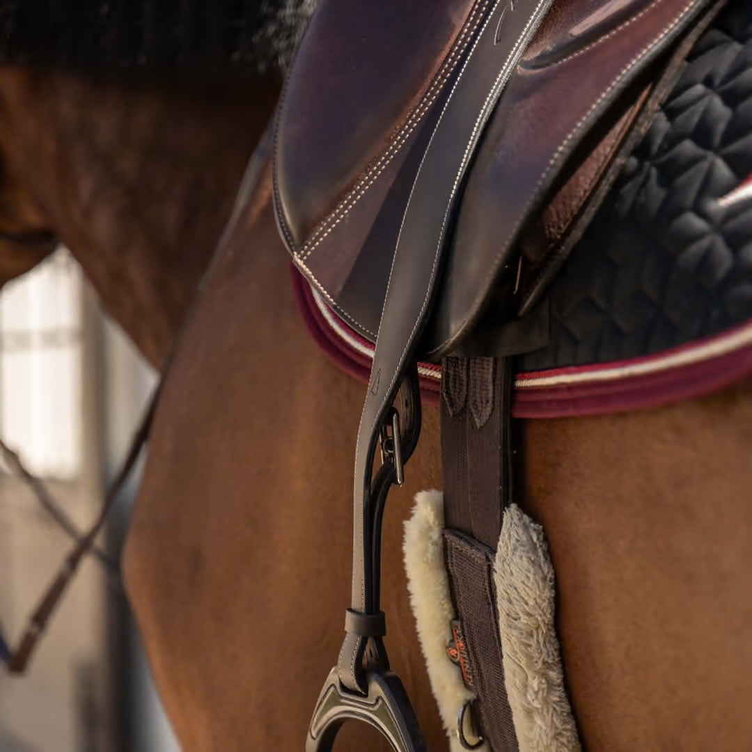 https://equitavisports.ca › products › etrivieres-mono-en-cuir-dyon