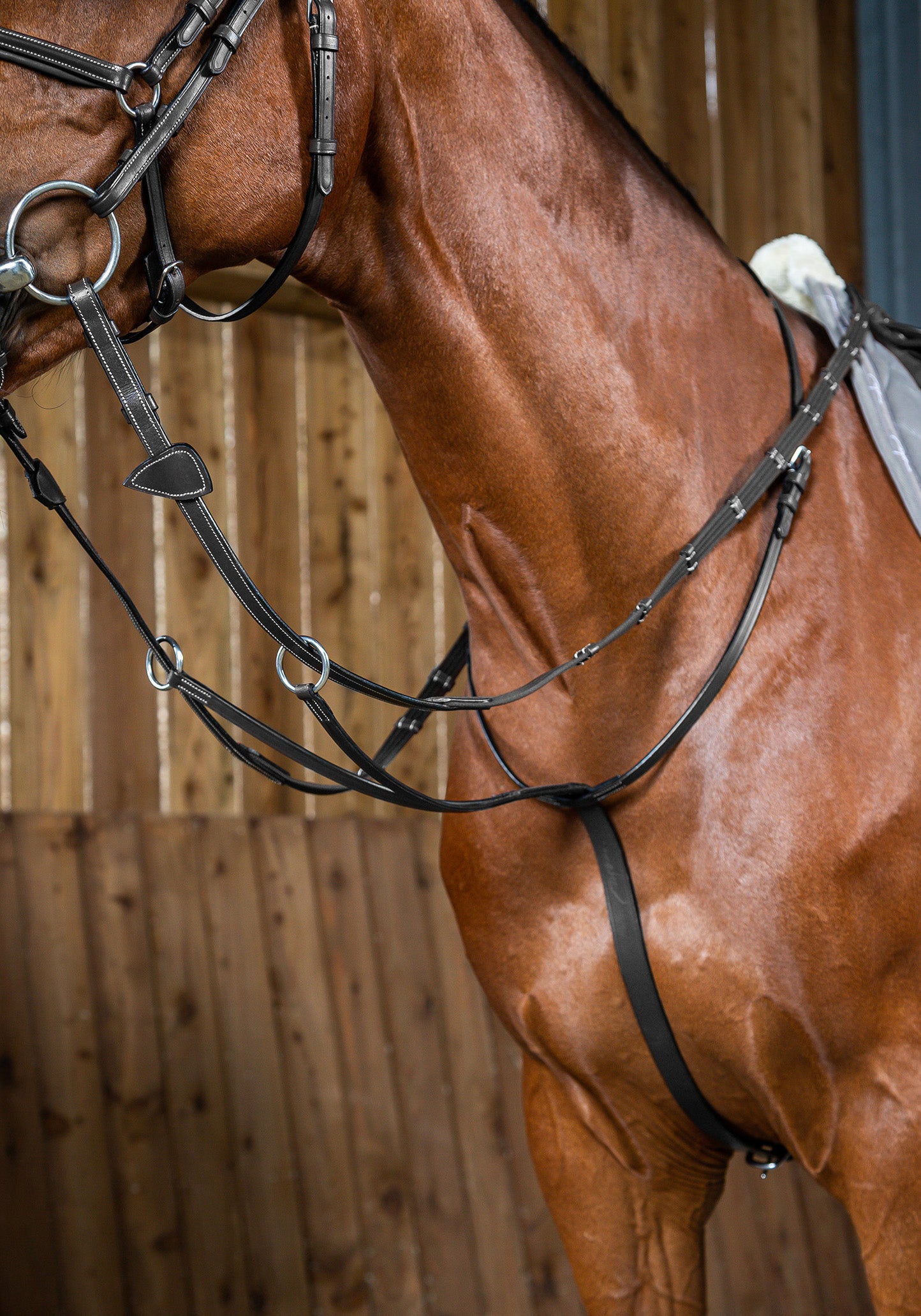 https://equitavisports.ca/products/martingale-a-anneaux-dyon-working-by-dyon