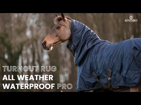 https://equitavisports.ca › products › couverture-dexterieur-all-weather-impermeable-pro-kentucky-horseware