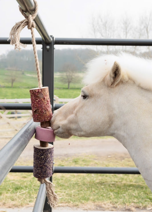 https://equitavisports.ca › products › jouet-en-bois-relaxant-pour-cheval-avec-pierre-a-sel