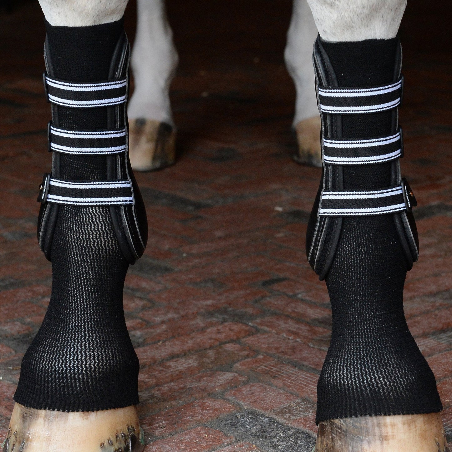 https://equitavisports.ca › products › equifit-gelsox-for-horses
