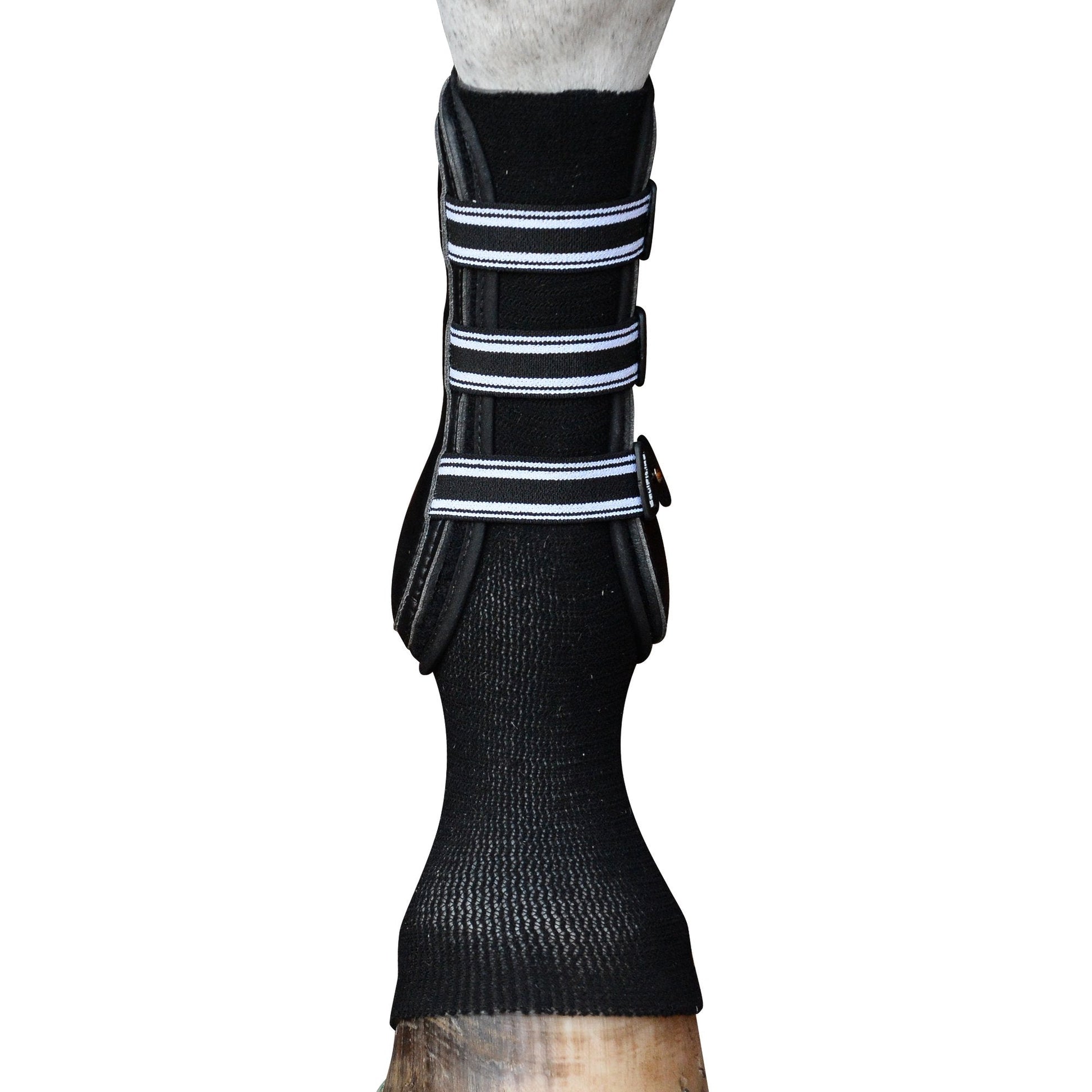 https://equitavisports.ca › products › equifit-gelsox-for-horses