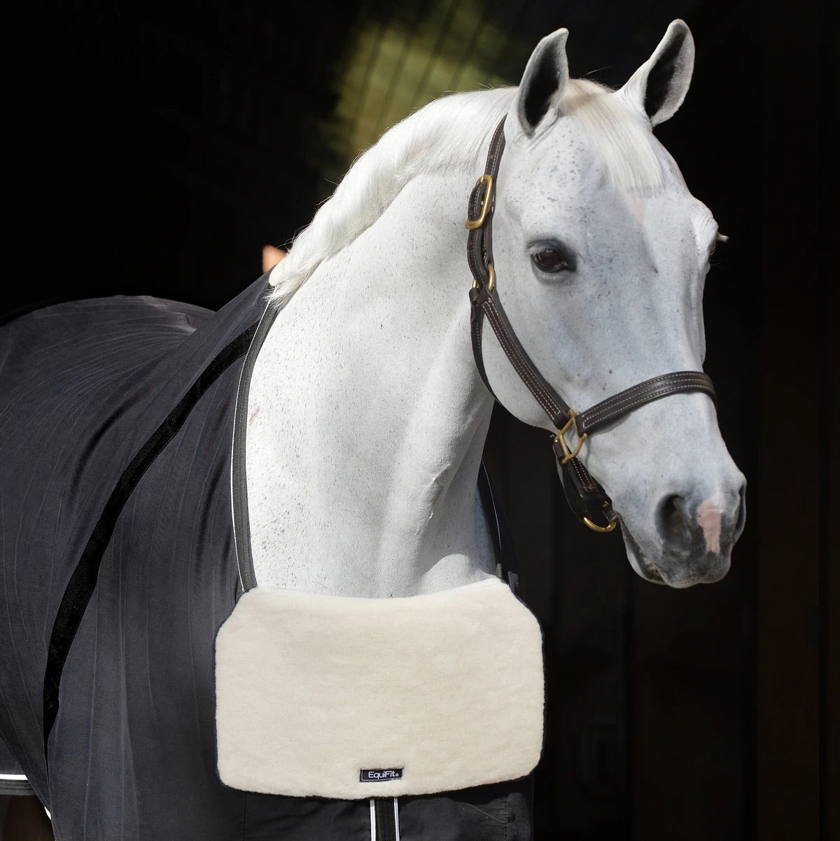 https://equitavisports.ca › products › equifit-blanketbib