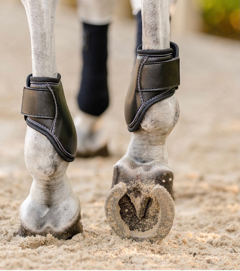 Guêtre arrière pour jeunes chevaux | EQUIFIT