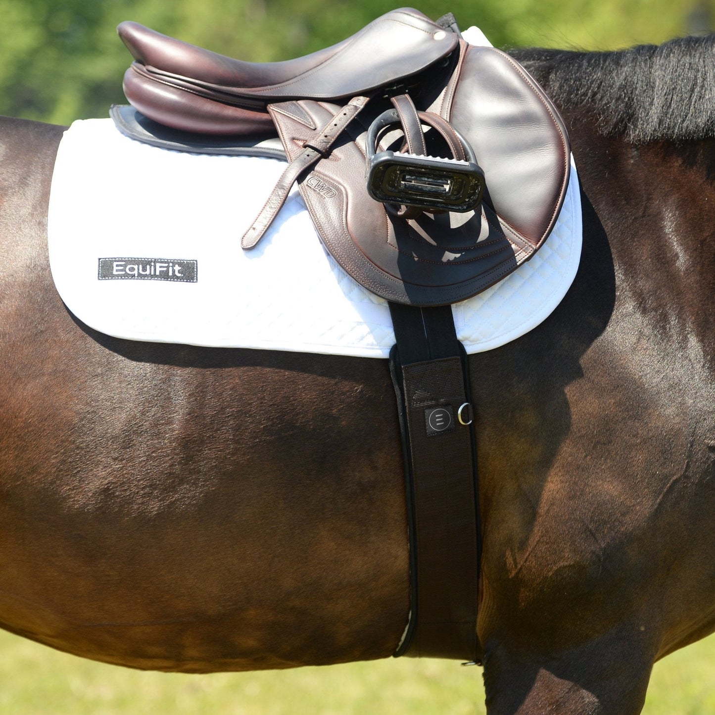 Sangle de pratique ESSENTIAL®-EQUIFIT