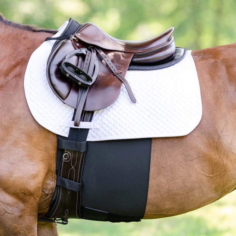 https://equitavisports.ca › products › equifit-bellyband