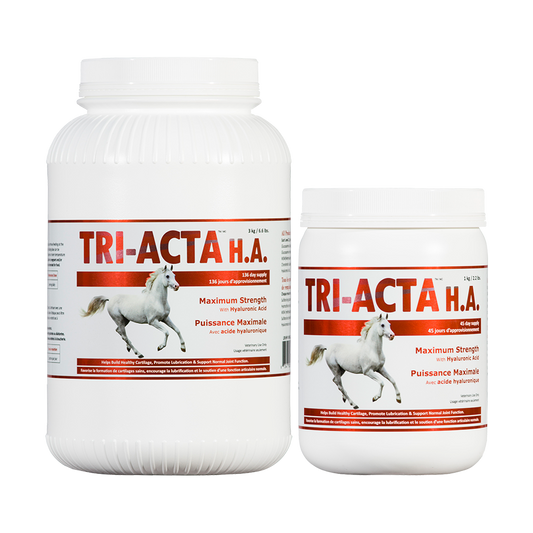 TRI-ACTA H.A. 1 KG