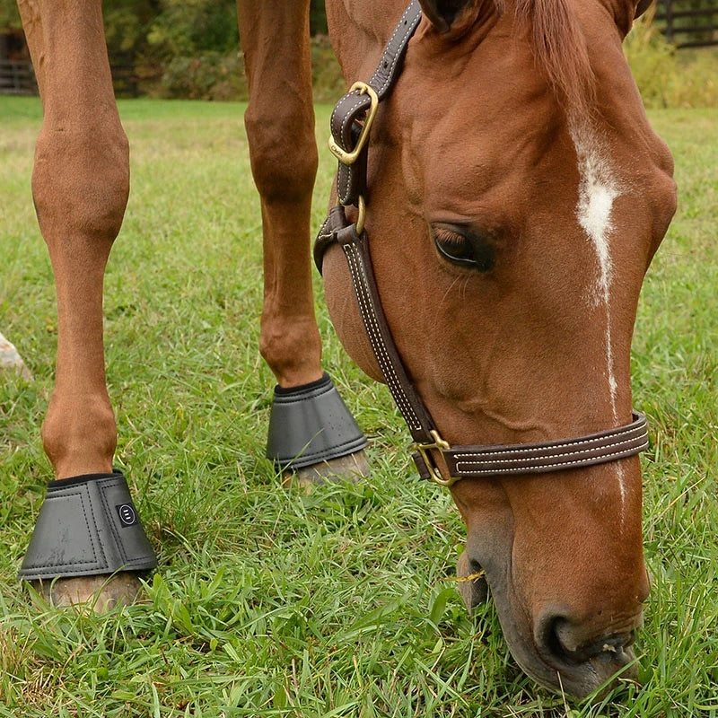 Cloche EQUIFIT